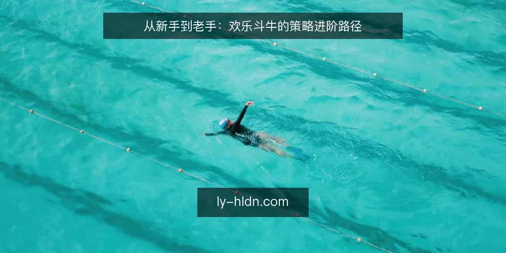 从新手到老手:欢乐斗牛的策略进阶路径 — 开局困惑:为什么总是赢不了 配图