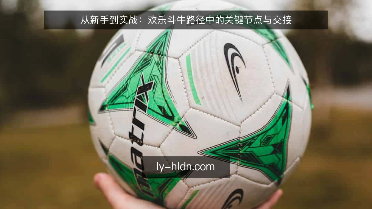 从新手到实战：欢乐斗牛路径中的关键节点与交接