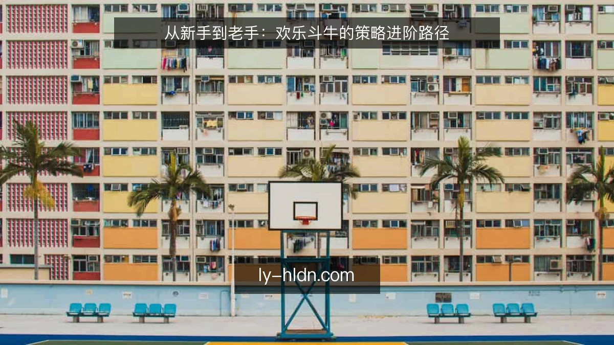 从新手到老手:欢乐斗牛的策略进阶路径