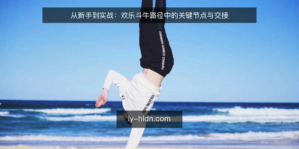 从新手到实战：欢乐斗牛路径中的关键节点与交接 — 开局：从规则陌生到第一局上手 配图