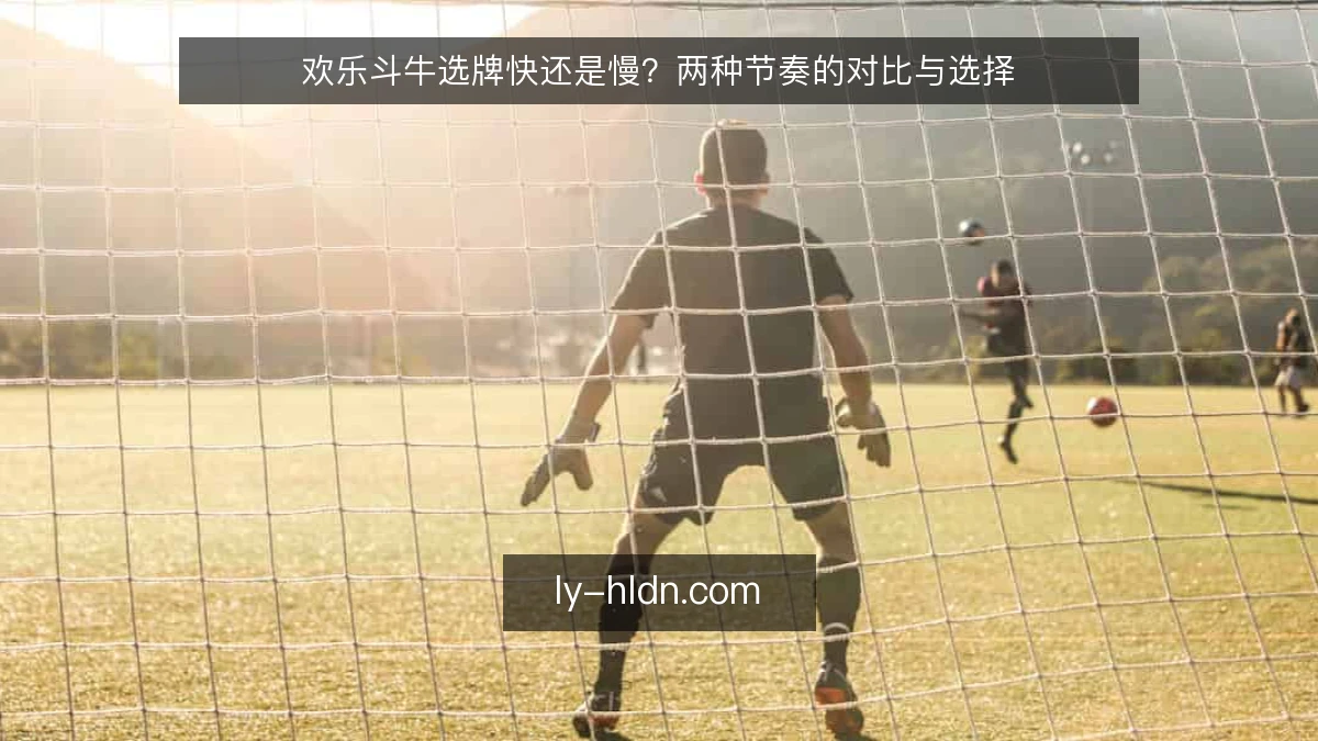 欢乐斗牛选牌快还是慢？两种节奏的对比与选择