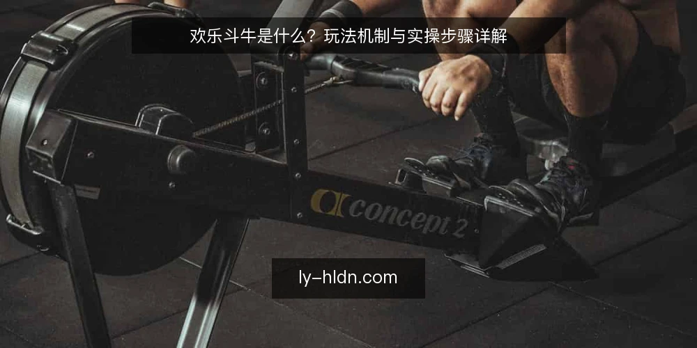 欢乐斗牛是什么？玩法机制与实操步骤详解 — 欢乐斗牛是什么：定义与核心机制 配图