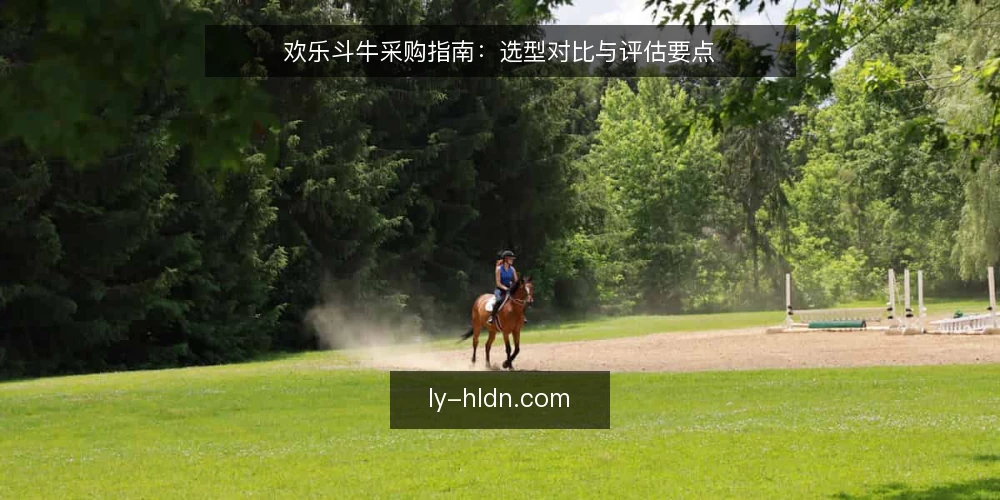 欢乐斗牛采购指南：选型对比与评估要点 — 选型前先定评估标准 配图