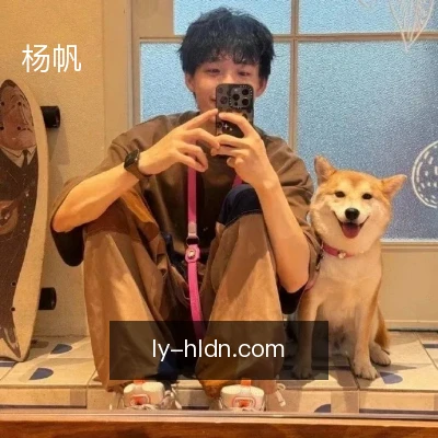 杨帆